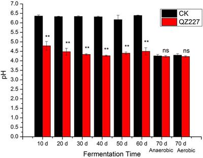 Effects of Lactobacillus plantarum on the Fermentation Profile and Microbiological Composition of Wheat Fermented Silage Under the Freezing and Thawing Low Temperatures